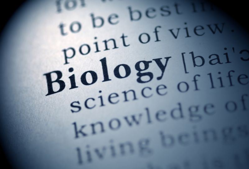 Biology tutoring Princeton Junction NJ — Learning Roof
